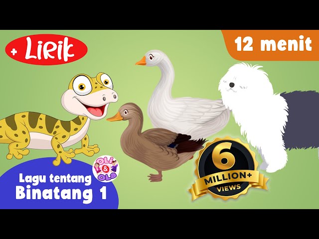 Cicak cicak di dinding + lirik dan lagu lainnya - 12 Menit | Oli Ola Kids