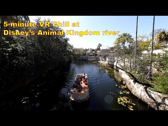 Disney in VR : 5-min relax at Animal Kingdom Harambe bridge.