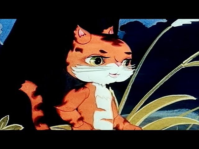 THE CAT | Great Book of Nature | Full Episode 49 | English