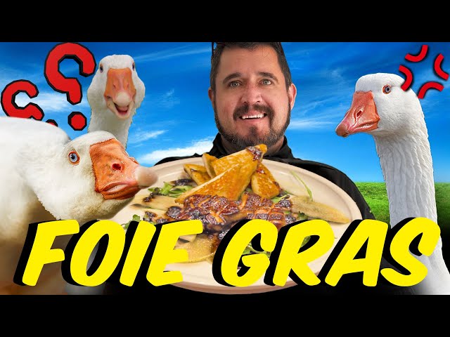 Foie Gras Forbidden Luxury or Overhyped Delicacy | Karl Matz Cooking