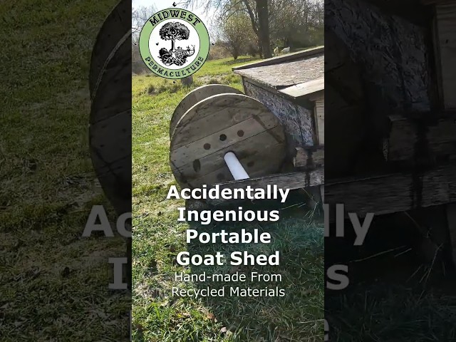 Accidentally Ingenious Portable Goat Shed