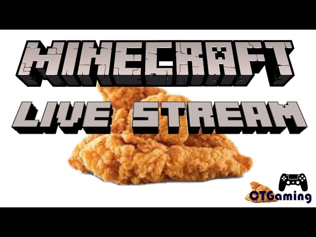 Minecraft Live Stream