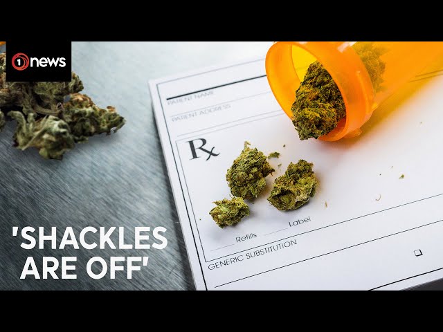 'Huge sense of relief' over Kiwi medical cannabis regulation changes | 1News on TVNZ+