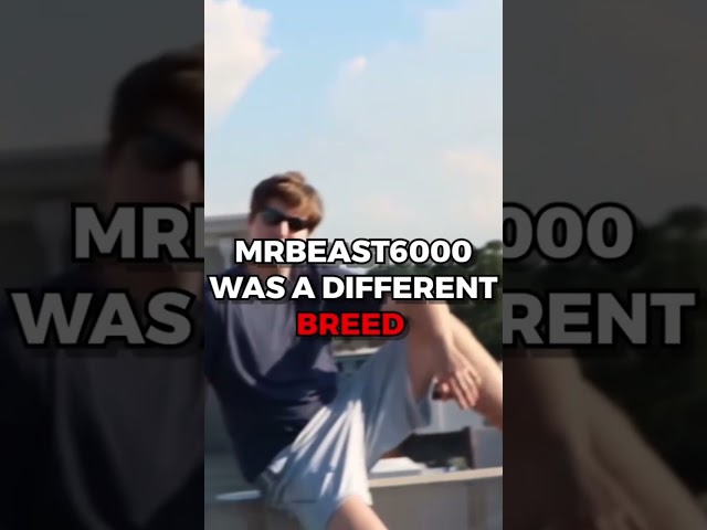 Old MrBeast Is Back