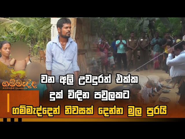 වන අලි උවදුරත් එක්ක දුක් විඳින පවුලකට ගම්මැද්දෙන් නිවසක් දෙන්න මුල පුරයි | Gammadda