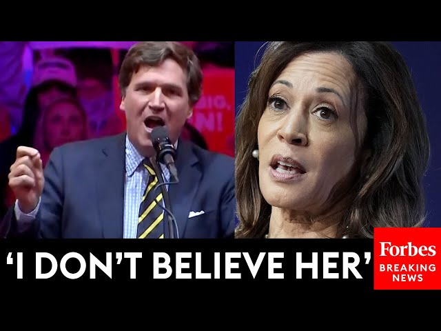 BREAKING NEWS: Tucker Carlson Predicts Trump Victory And Lambasts Kamala Harris At Trump's MSG Rally