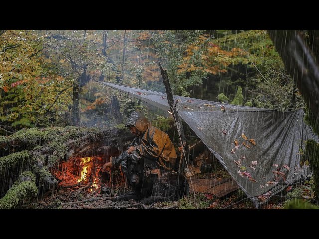 Can I SURVIVE Solo Camping in the Rain with NO TENT ?