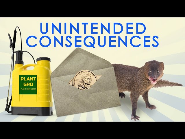 Great Moments in Unintended Consequences: Coin Mail, Fertilizer Ban, and Hawaiian Mongoose (Vol. 14)