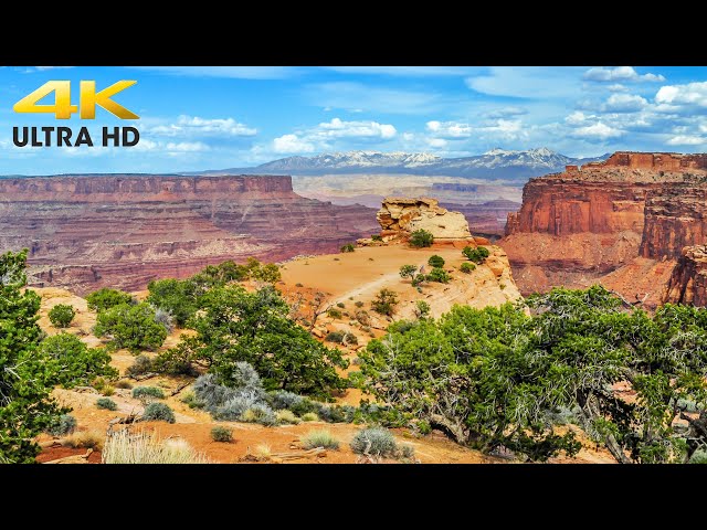 Canyonlands National Park Island in the Sky Complete Scenic Driving Tour | Moab, Utah 4K