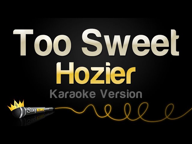 Hozier - Too Sweet (Karaoke Version)