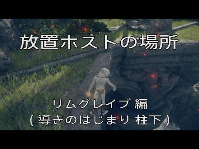 [エルデンリング]放置ホストの場所　リムグレイブ 編 ( 導きのはじまりの柱下 )　AFK RUNE FARM