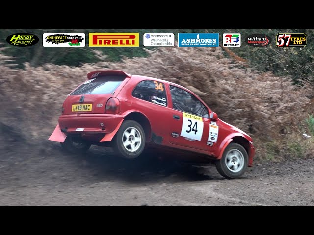 Wyedean Rally 2024 Crash & Action!