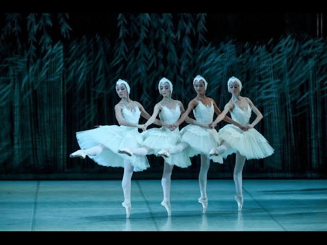 Swan Lake. White act