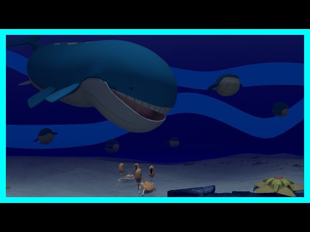 Wailord Marea 360º