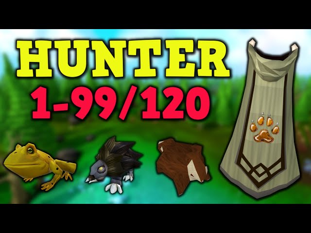 1-99/120 Hunter Guide Updated 2022- AFK & Fastest Methods - Runescape 3