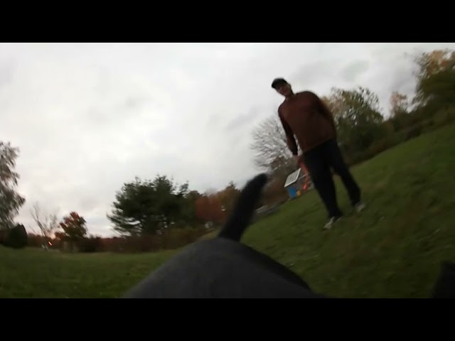 MikoCam 1 - my dog running after her ball wearing a 360 cam. Get a dog eye's view of playing fetch.