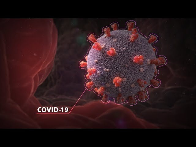 Coronavirus - COVID-19