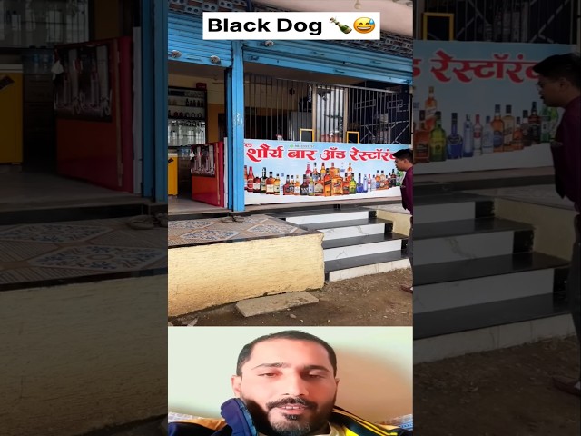 Aek black dog, chakhne ke sath 🤔😲😱 #funny #shorts #comedy