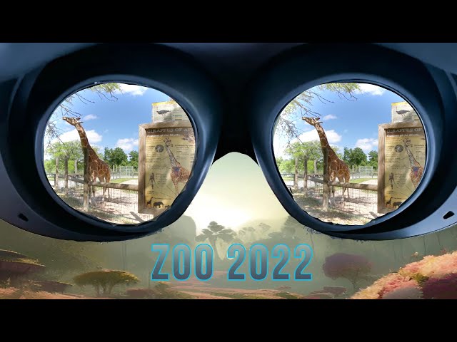 Go to the Zoo in VR180! (2022 edition) 3D VR