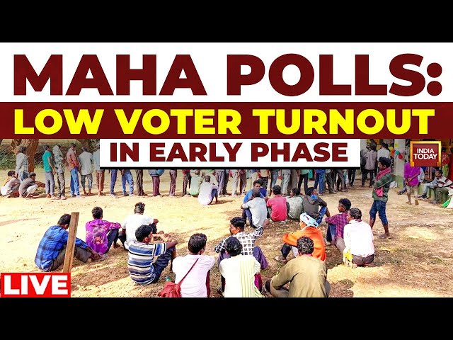 Maharashtra Assembly Polls Live Updates: Maharashtra Records 32% Voting Till 1PM | Mumbai News