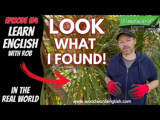 LOOK what I found 👀  Learn English in the Real World with Rob Woodward – Episode 4