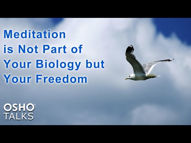 OSHO TALKS: Meditation is Not Part of Your Biology - but Your Freedom