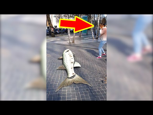 Fishing Barracudas in the City #shorts Lifehack Video by Family Booms