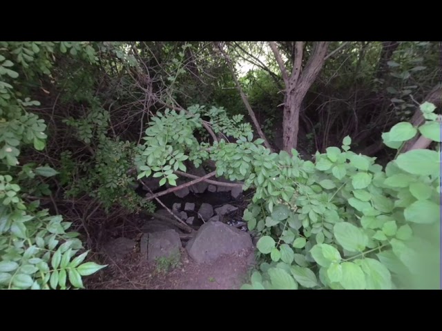 A Stream Access Path Through A Bush On Your VR180 Holiday