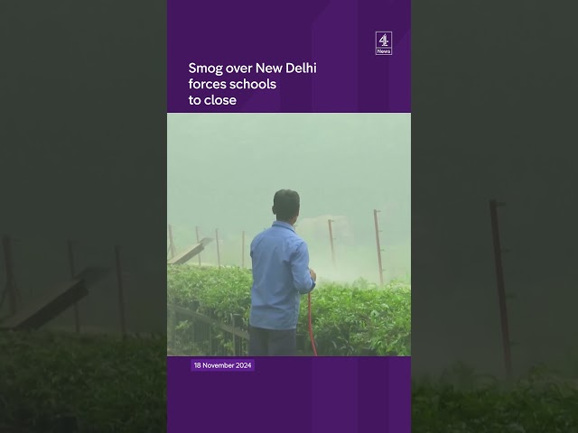 Thick smog disrupts New Delhi