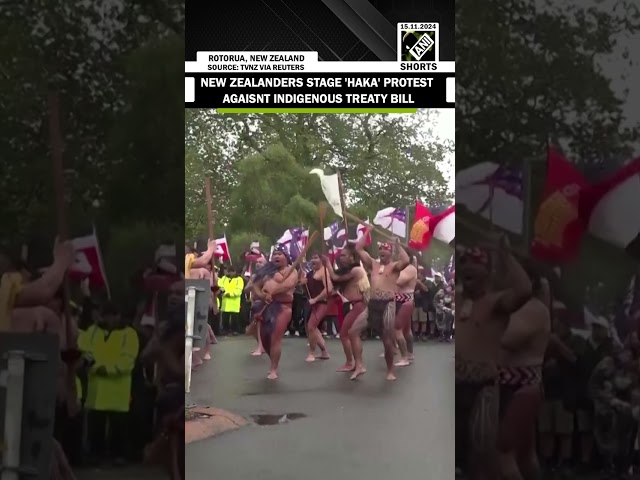 New Zealanders Stage 'HAKA' Protest, march towards Wellington against Indigenous Treaty Bill