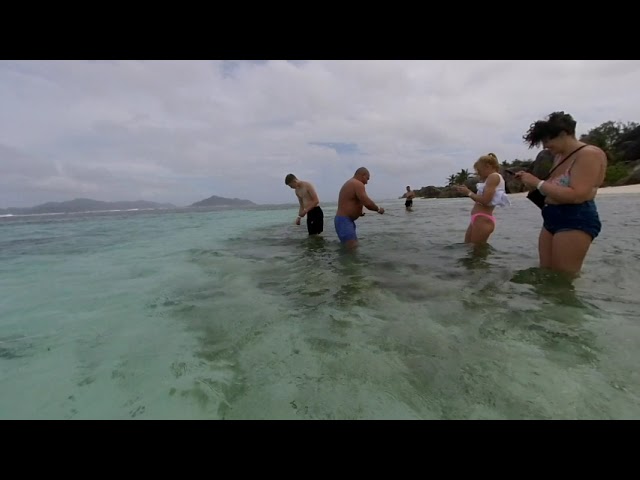 Seychelles, La digue island. Bread for fish and sea