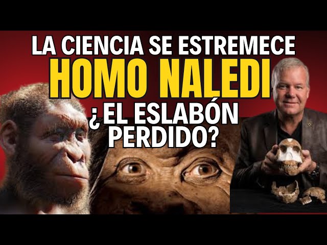 🔥 DESCUBRIMIENTO IMPACTANTE 💀El HOMO NALEDI🧬La Especie que CAMBIA LA HISTORIA: ¿Hubo Otra Humanidad?