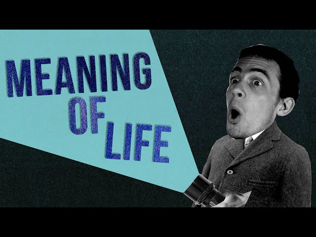 The Meaning of Life - in 60 Seconds