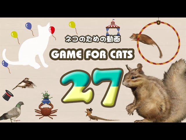 【猫用動画MIX27】リス・ねずみ・トカゲ・カニ・鳥 ４時間 GAME FOR CATS 27