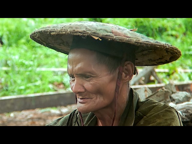 The Last Guardians of the Borneo's Dying Forests