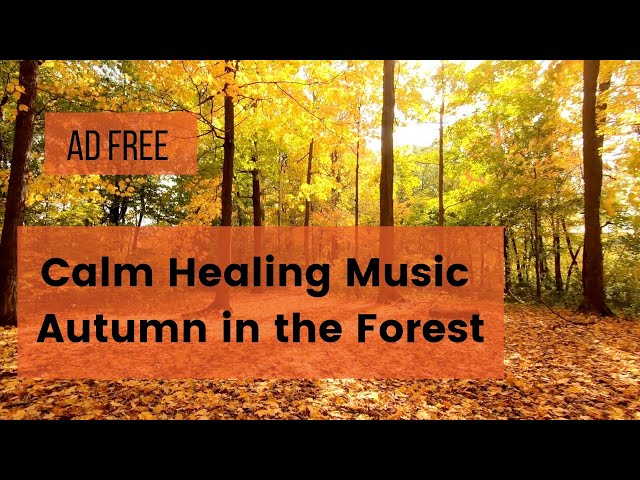 Instant Relief from Stress & Anxiety | No Ads | Calm Nature Healing Music with Peaceful Scenery