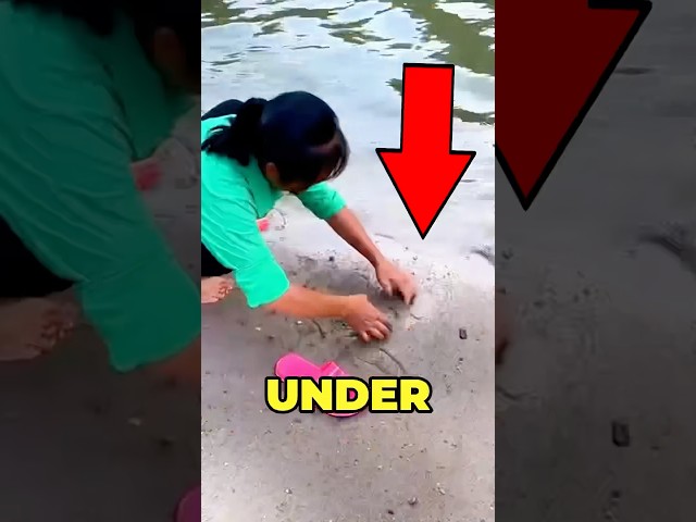 Animal Found Under Sand 😱