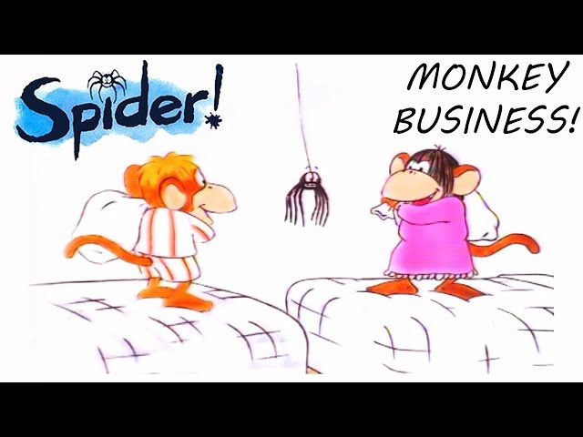 Spider! Episode 4 | Monkey Business | SPIDER IN THE BATH