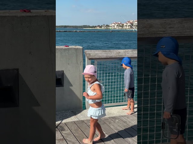 Kids are exploring the pier. What interesting things can you see from a pier?