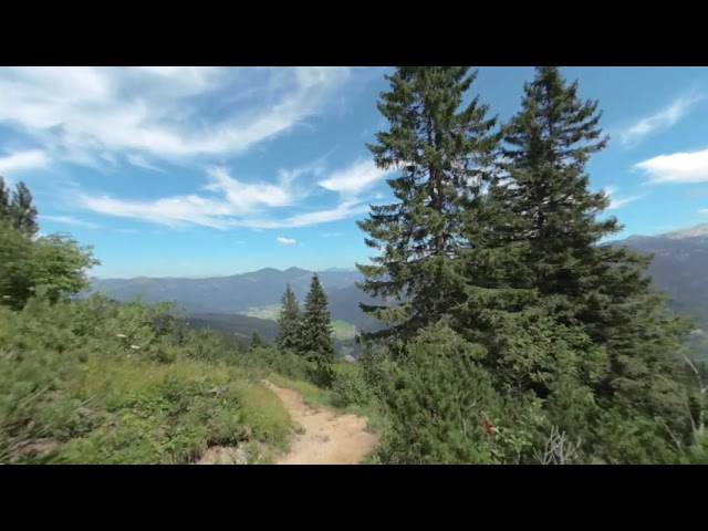 Scenic Alpine Route - A Downhill Walk 3D VR180