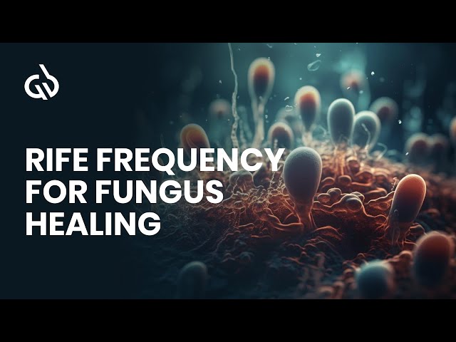 Rife Frequency Healing: Fungus Frequency and Yeast Infection Subliminal