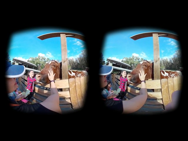 Feeding Animals at Little Farm! (3D VR180)