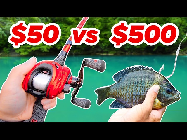 $50 vs $500 Budget Fishing Challenge (Rod, Reel, Lures)