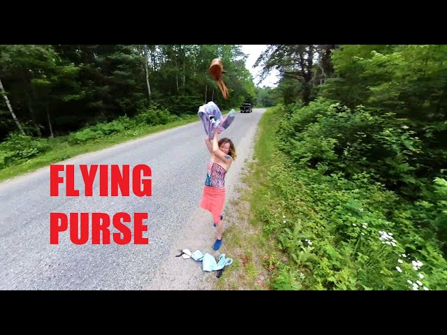 Lost in Chutes Park and the Flying Purse