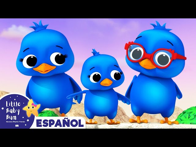 Familia de Pajaritos - Canciones Infantiles | Dibujos Animados | Little Baby Bum en Español