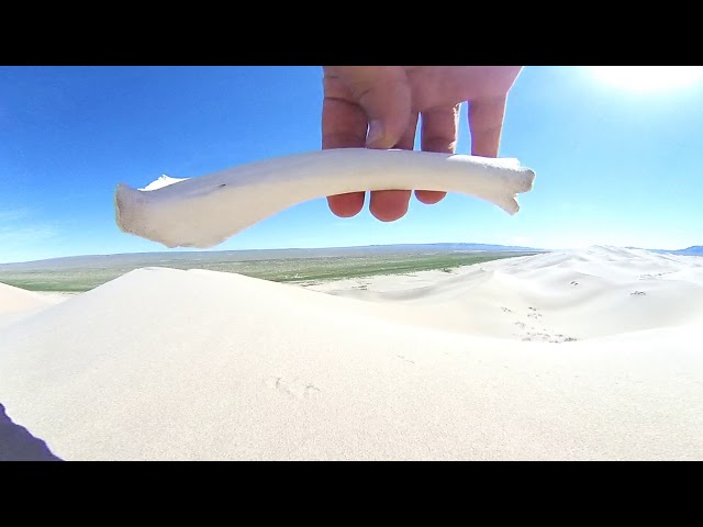 Walking on the sand dunes of Khongoryn Els, Gobi Desert, Mongolia