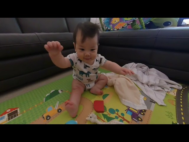 Winston plays in front of TV