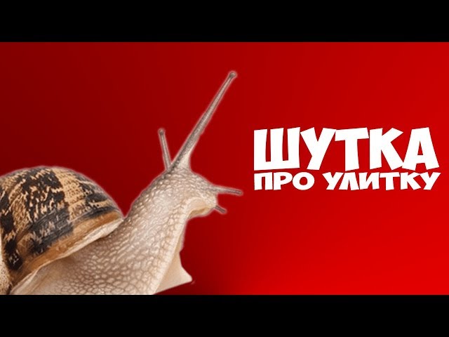 Lolchic - Улитка