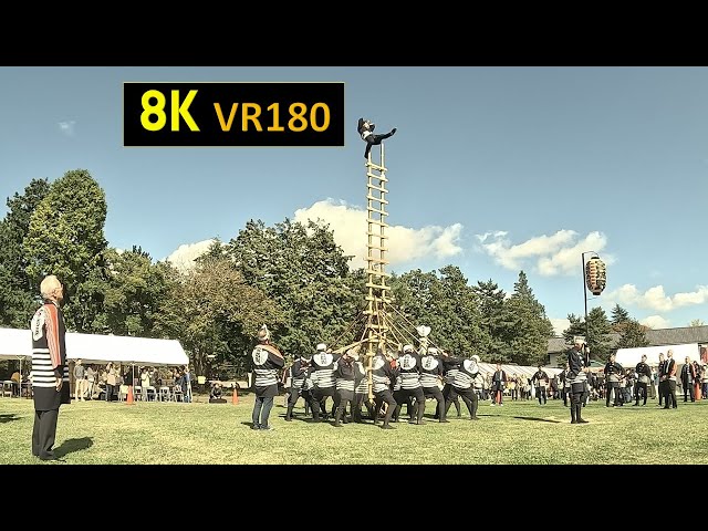 【8K VR180】宮城 仙台 みやぎの・まつり 宮城野消防団 はしご乗り