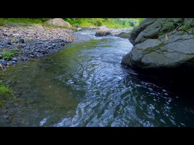 NO ADS 🌊 Crystal Clear Stream | Gentle Water Flowing Over Rocks | 8 Hours Nature Sounds 4K